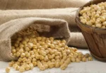 Roasted Chickpeas - Image 2