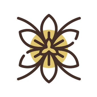 Superior Flavor and Potency Saffron